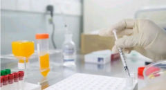 第一代和第二代试管助孕哪个胚胎质量好，成功