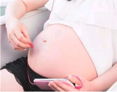 为什么试管促排能取出这么多卵子？不伤卵巢吗