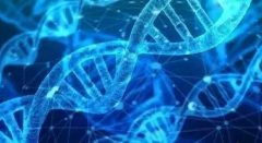 体外受精如何帮助子宫肌瘤患者实现健康妊娠？