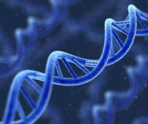 卵巢囊肿需要取消吗？我该怎么办？