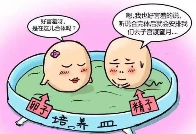 张家口供卵试管婴儿机构哪家好一点？