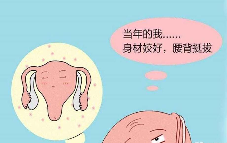 石家庄卵巢早衰能做供卵试管婴儿吗？