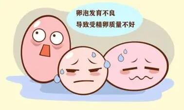 卵泡萎缩可以做试管生子吗?有治疗卵泡萎缩的方