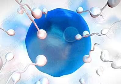 精液常规检查精子60分钟不液化该怎么办?