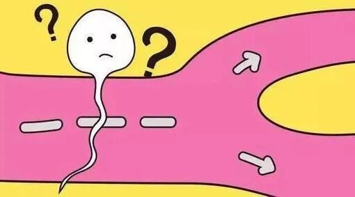 弱精症能做试管婴儿吗,做几代比较好?