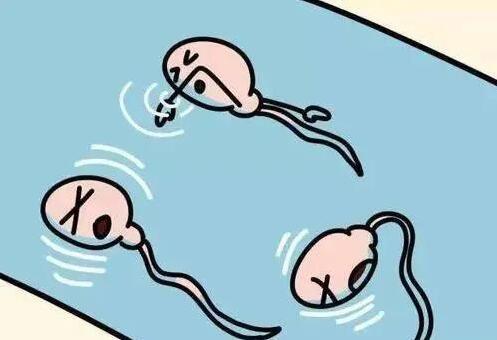 男子患有无精症还有怀孕的可能吗？